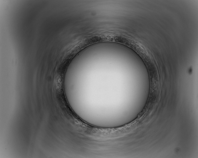 X0000100190037200806061309