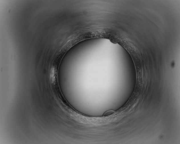 X0000100190038200806061309