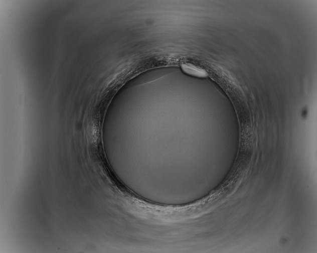 X0000100190039200806061309