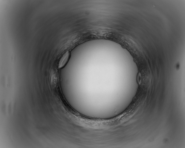 X0000100190040200806061309