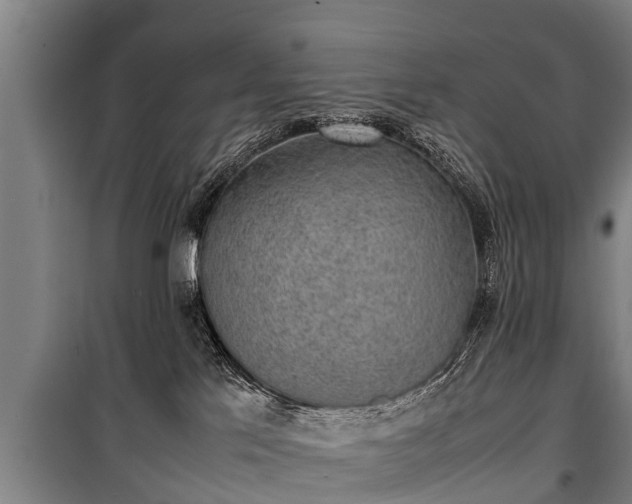 X0000100190041200806061309