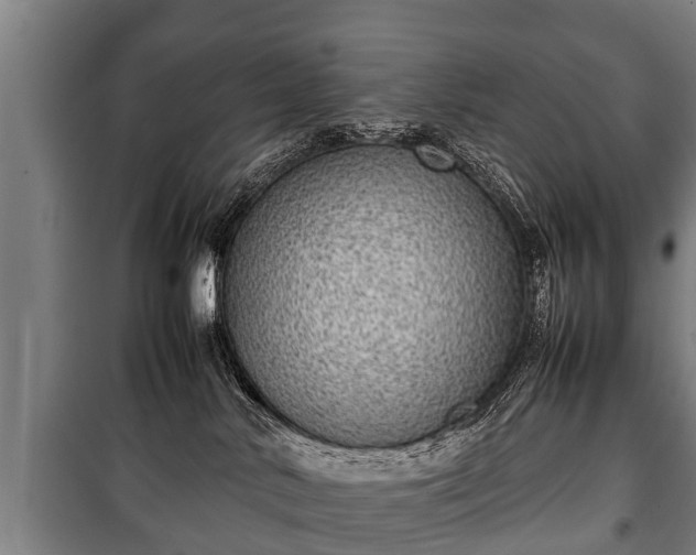 X0000100190042200806061309