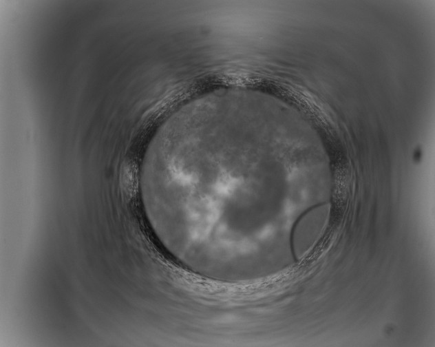 X0000100190043200806061309