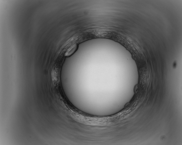 X0000100190044200806061309