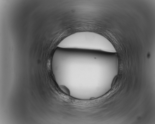 X0000100190045200806061309