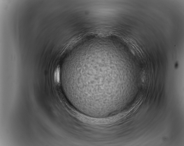 X0000100190046200806061309