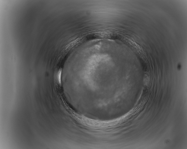 X0000100190047200806061309