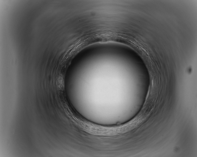 X0000100190048200806061309