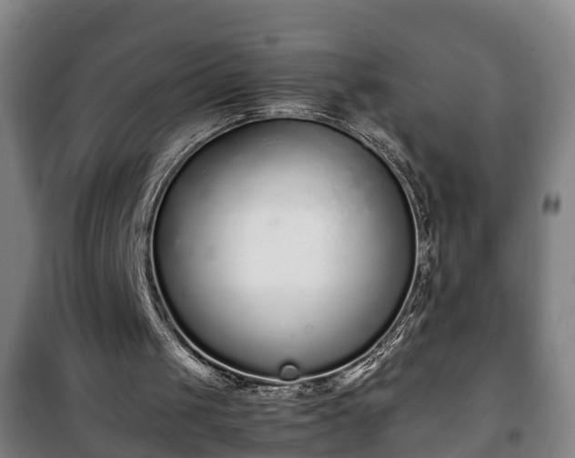 X0000100190049200806061308