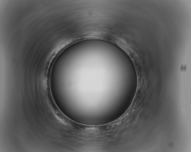 X0000100190050200806061308