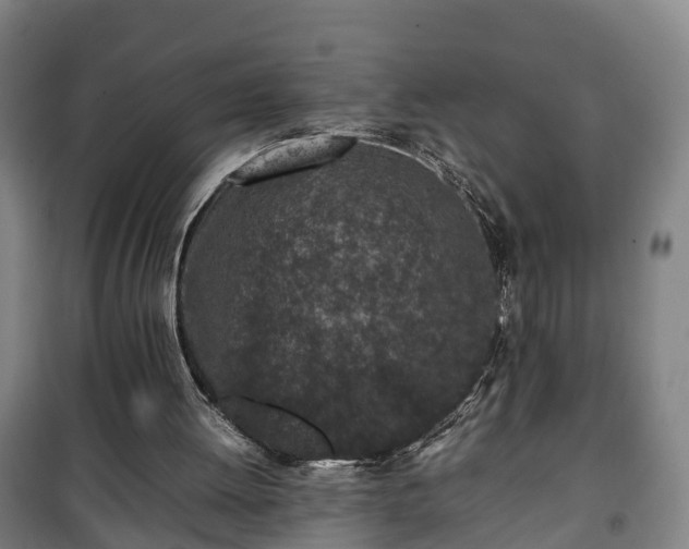 X0000100190052200806061308