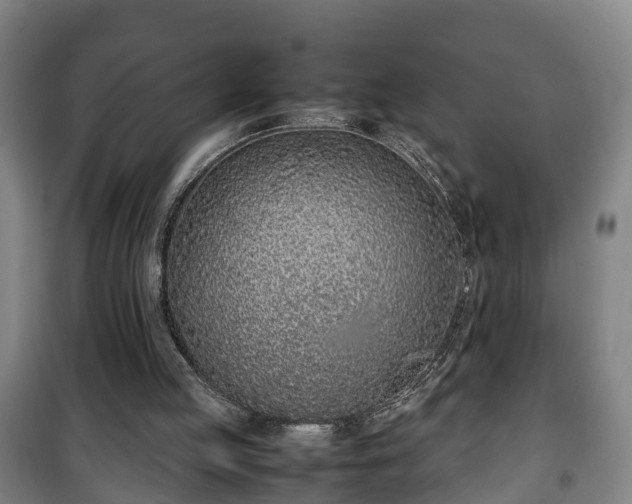 X0000100190053200806061308