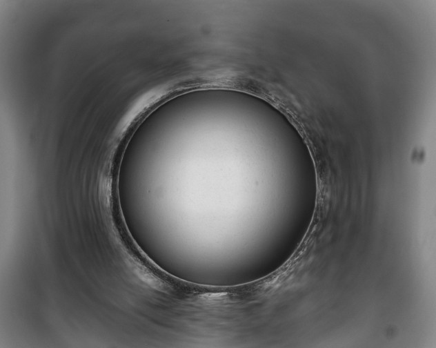 X0000100190054200806061308