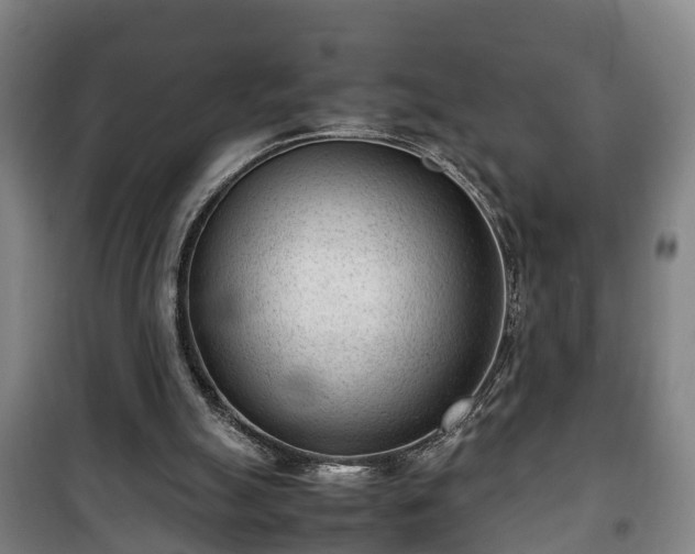 X0000100190055200806061308