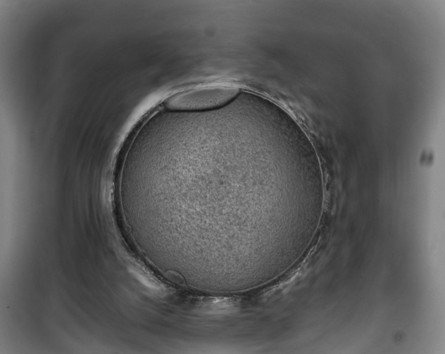 X0000100190056200806061308