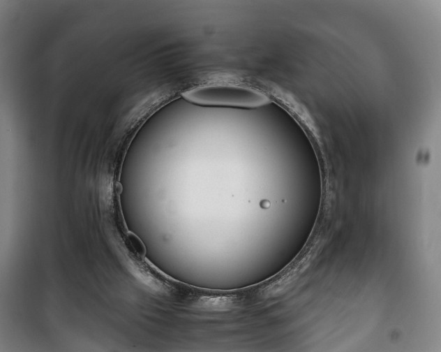 X0000100190057200806061308