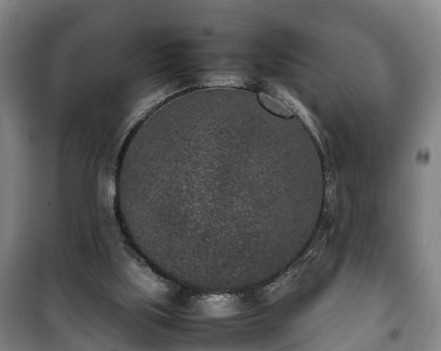 X0000100190059200806061308