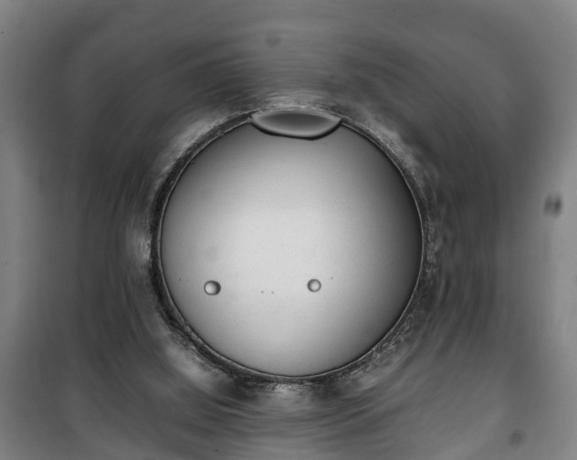 X0000100190060200806061308