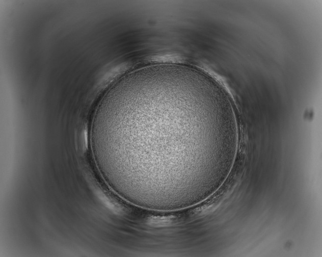 X0000100190061200806061308