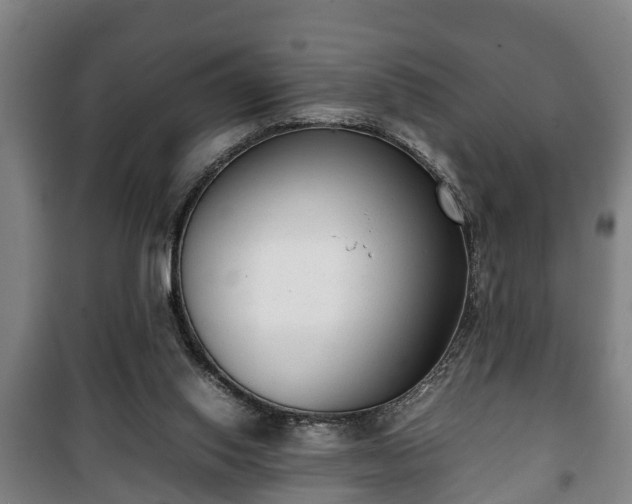 X0000100190062200806061308