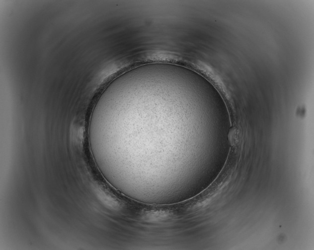 X0000100190063200806061308