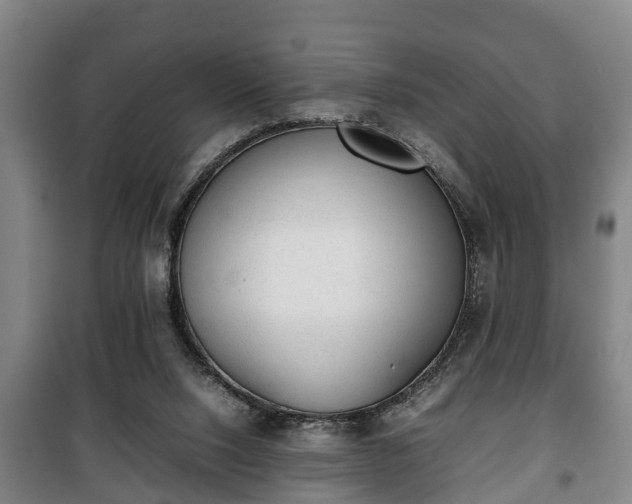 X0000100190064200806061308