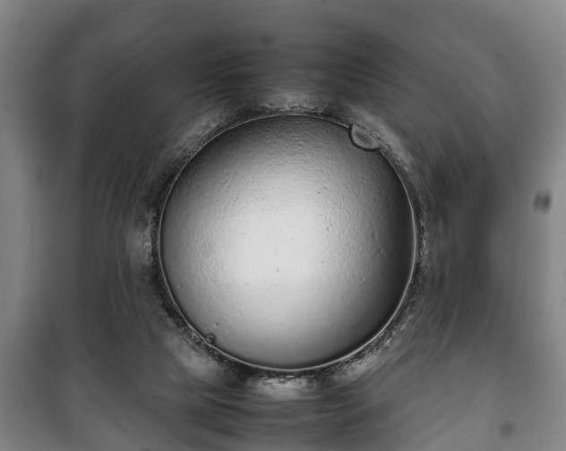 X0000100190065200806061308