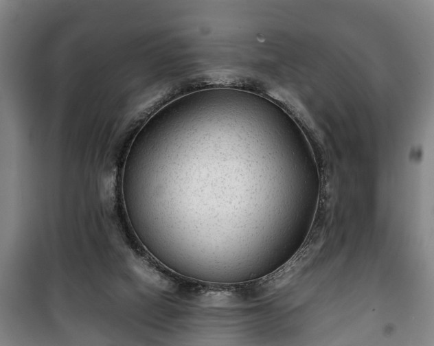 X0000100190066200806061308