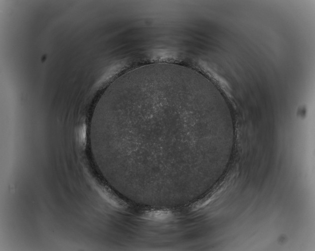 X0000100190067200806061308