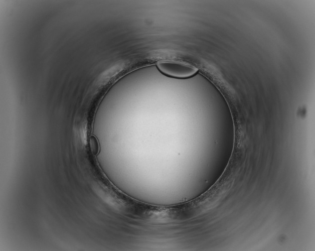 X0000100190068200806061308