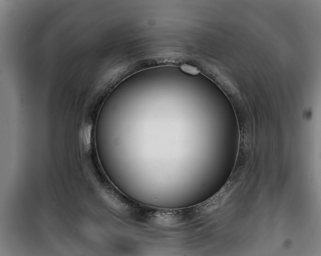 X0000100190070200806061308