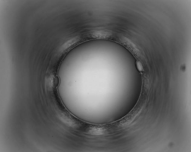 X0000100190071200806061308