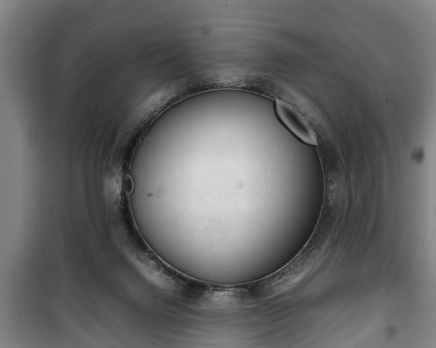 X0000100190072200806061308