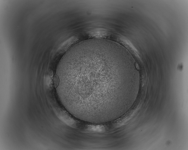 X0000100190073200806061308