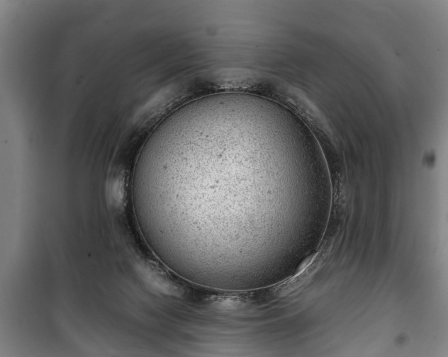 X0000100190074200806061308