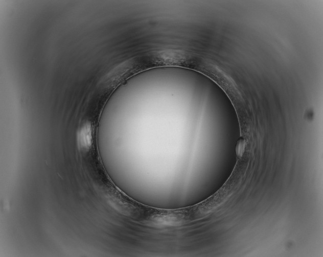 X0000100190075200806061308