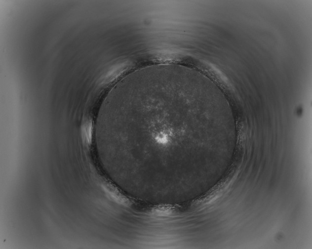 X0000100190076200806061308