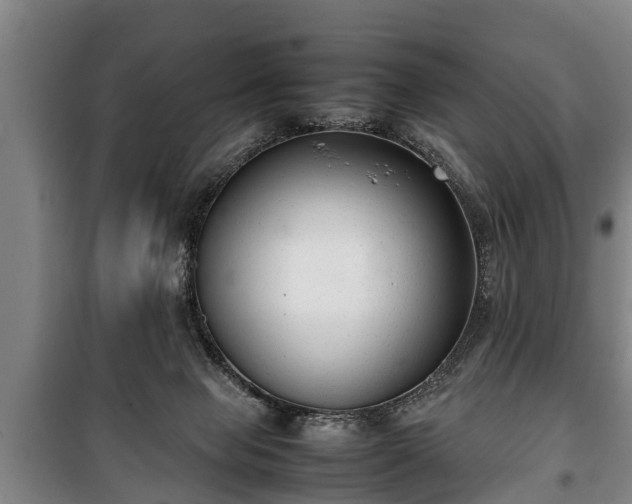 X0000100190077200806061309