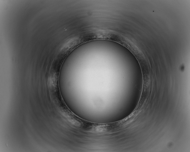 X0000100190078200806061309