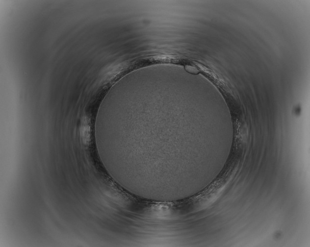 X0000100190080200806061309