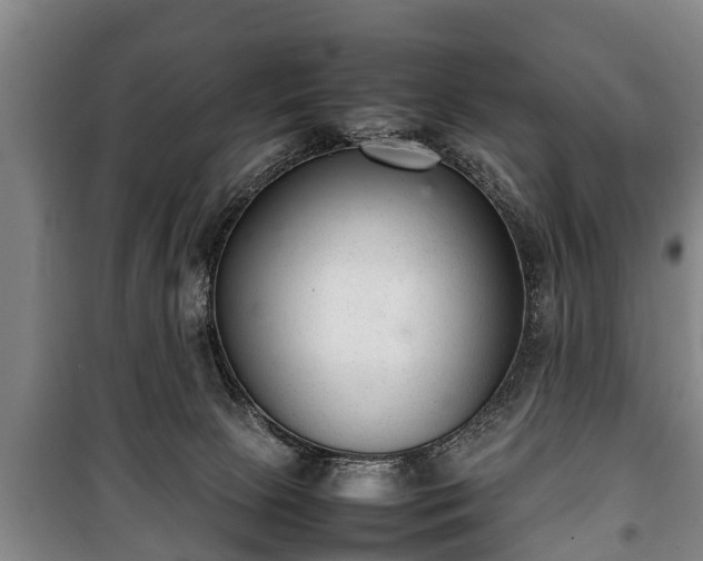 X0000100190081200806061309