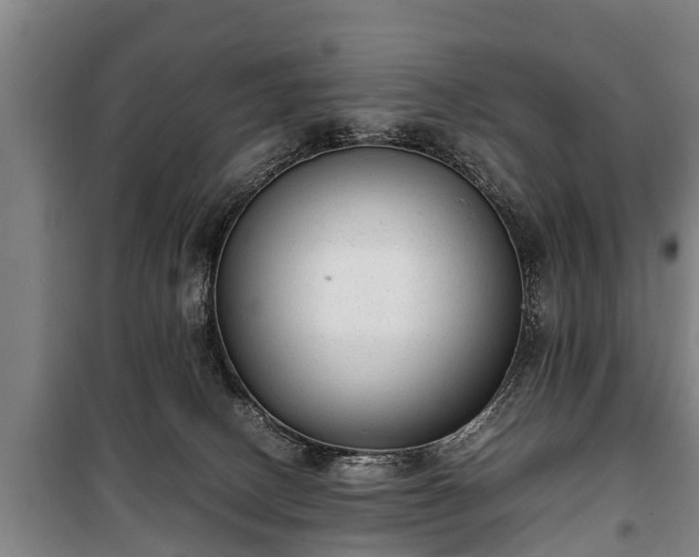 X0000100190082200806061309