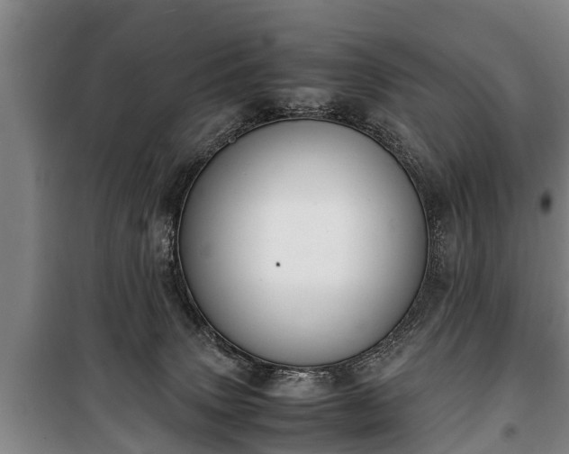 X0000100190083200806061309