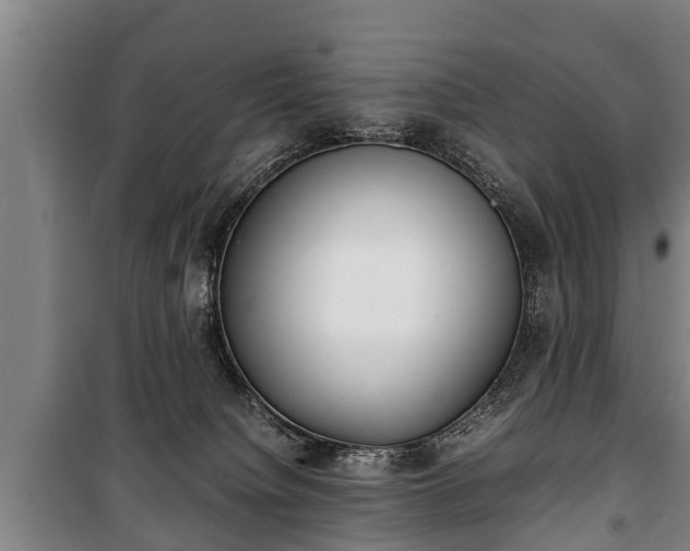 X0000100190084200806061309