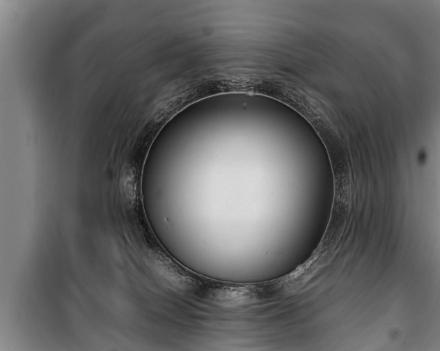 X0000100190086200806061309