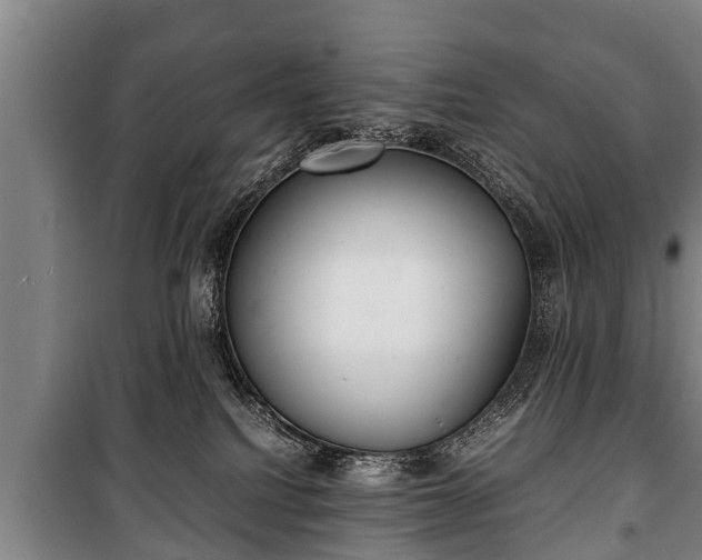 X0000100190088200806061309