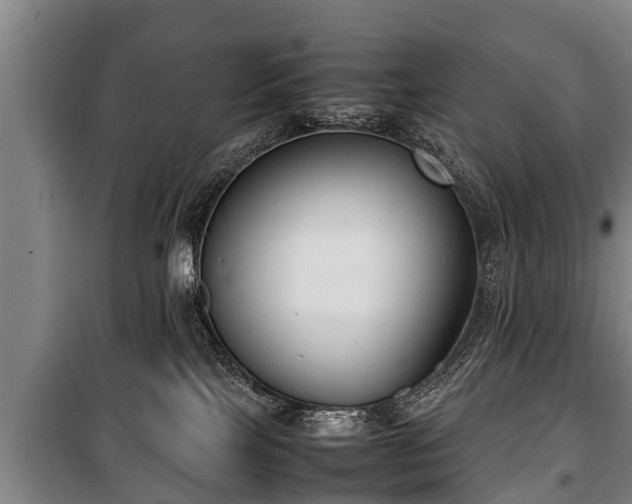 X0000100190089200806061309