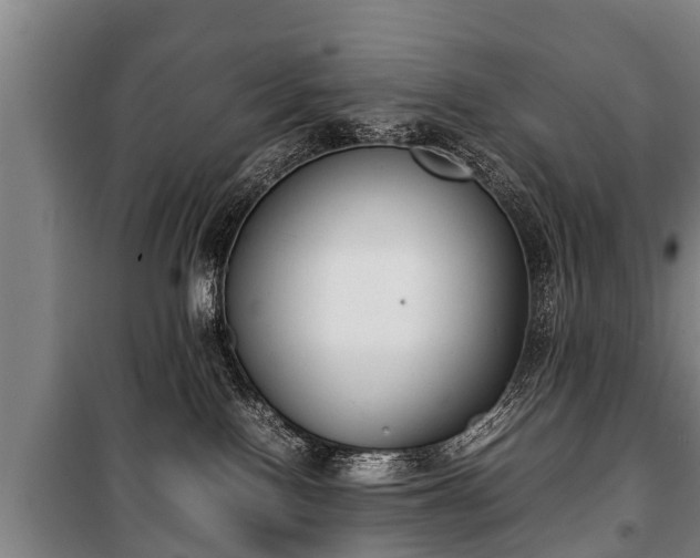 X0000100190090200806061309