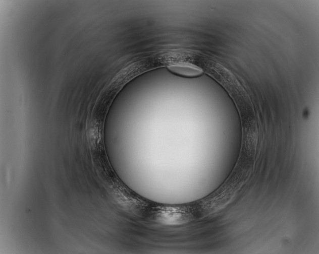 X0000100190091200806061309