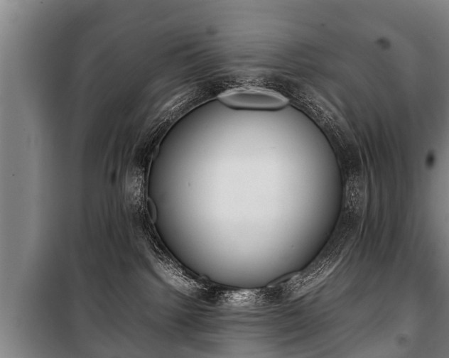 X0000100190092200806061309